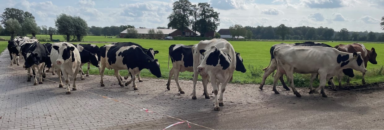 Reguliere gebiedsontwikkeling werkt ook op het platteland