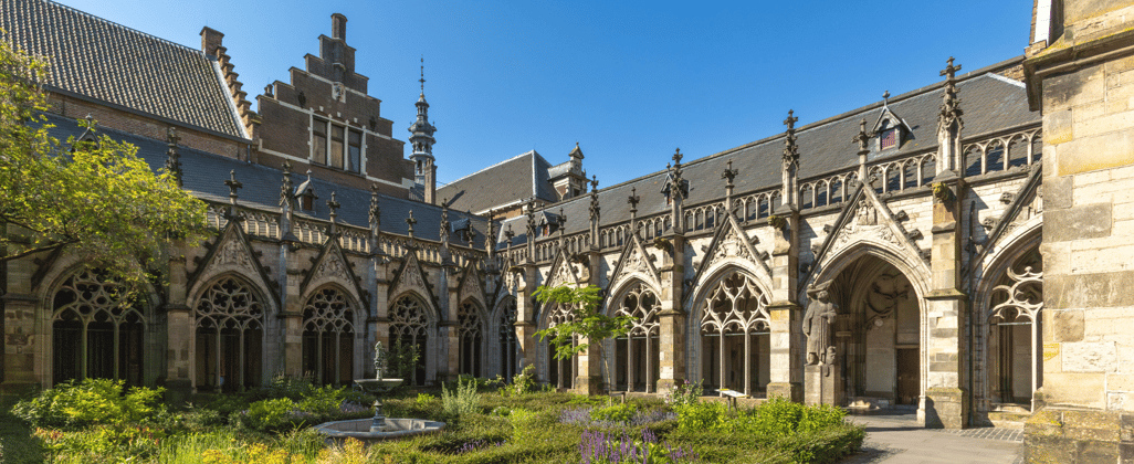 Portfoliomanagement meer rust en ruimte voor de organisatie