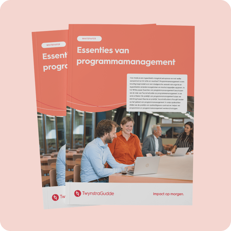 Essenties van programmamanagement