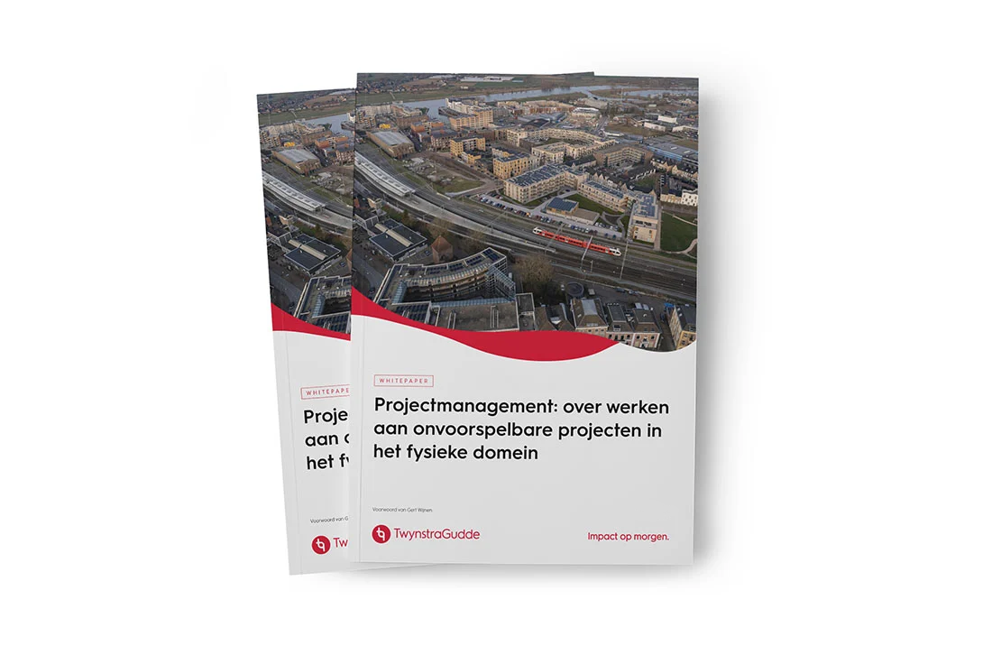 Whitepaper projectmanagement