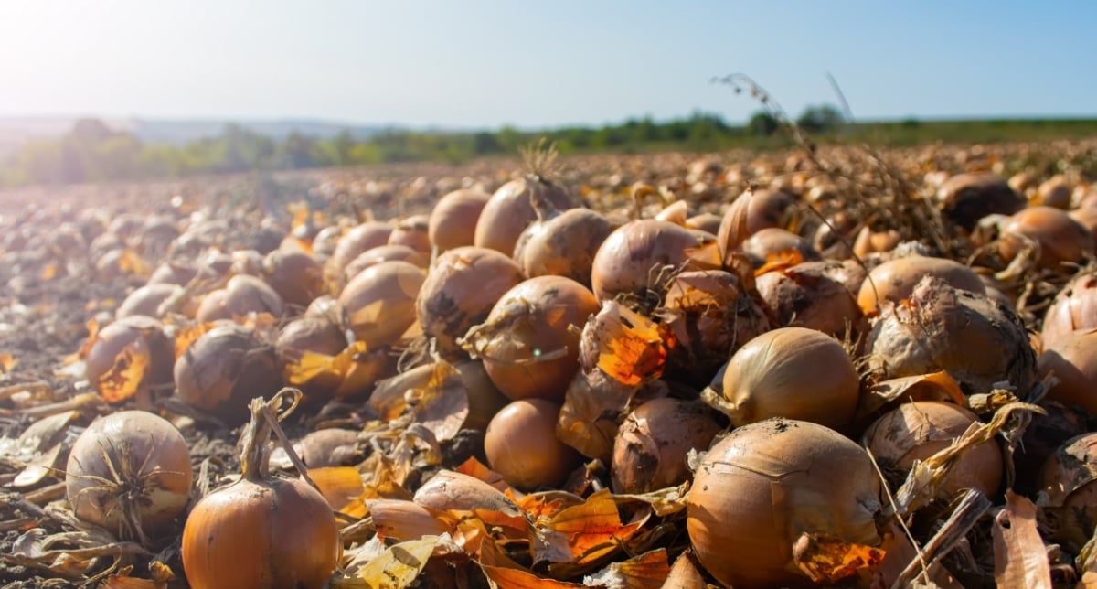 Coaching brengt leiderschapsteam Foodvalley weer in verbinding