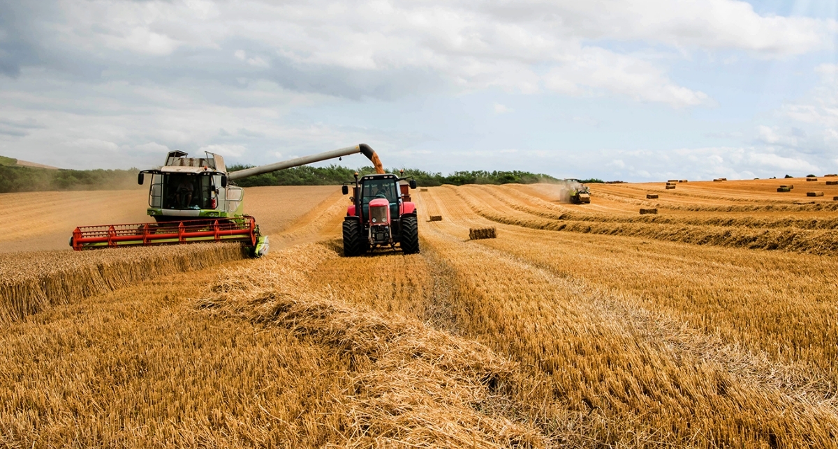 De boeren als partner in strijd tegen drugscriminaliteit