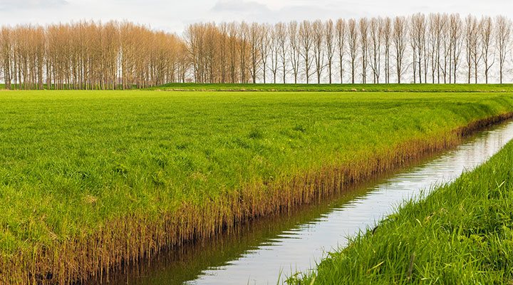 Verkennen van bestuurlijke keuzes voor klimaatadaptatie