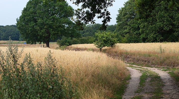 Eerlijke schadeafhandeling voor Natura 2000