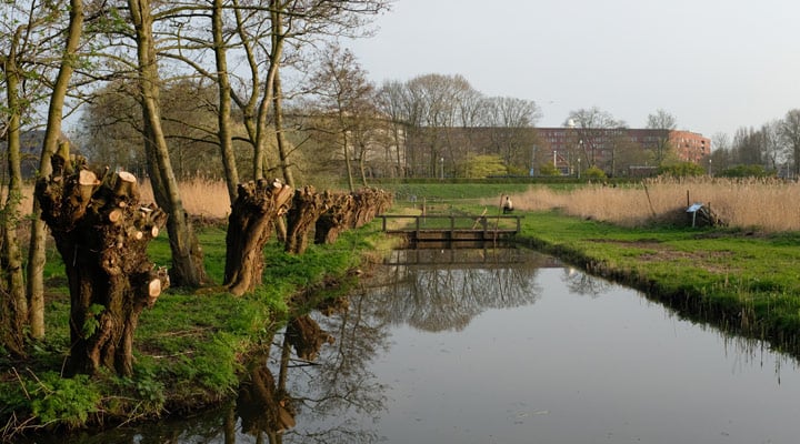 Onderzoek naar nieuwe huisvesting