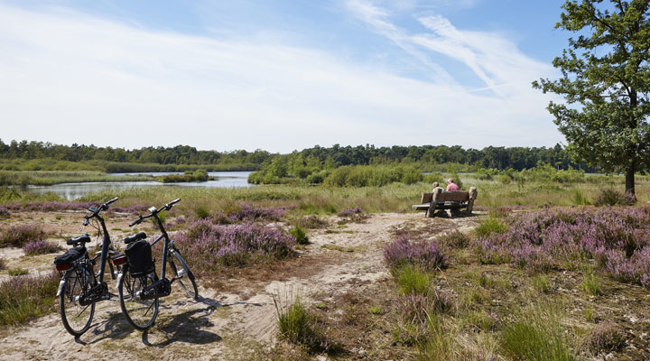 Vastgoedbeleid voor de gemeente Oisterwijk