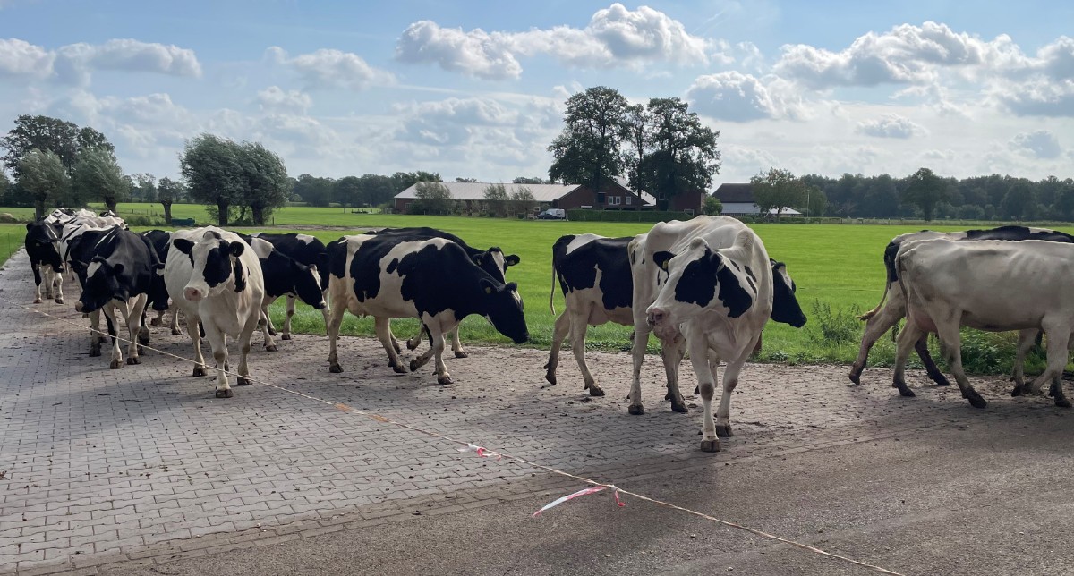 Reguliere gebiedsontwikkeling werkt ook op het platteland