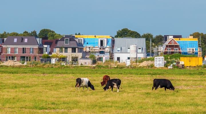 Landelijk gebied